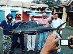 18 years old sailfish record in Pakistan which was 83.5 lbs broken by ANGLER Ijlal Hussain .. 88 lbs sailfish. 👏👍🎣 . . #sailfish #dawnnews #dawn #fishingrecord #mahigeerwatersports #fishing #fishingislife #fish #fishin