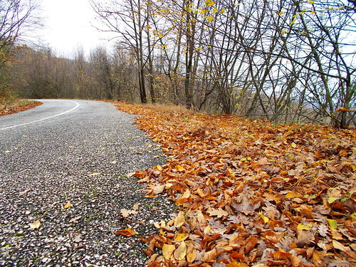 φύλλα δέντρα φθινόπωρο δρόμοσ στροφή θεοδώρειο μαυροπλαγιά