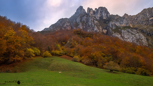 longexposure autumn verde landscape agua rocks otoño montaña rocas cantabria ocre picosdeeuropa fuentedé