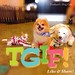 #TGIF Yeah!! #CoffeePuppy #DogCafe #คาเฟ่น้องหมา