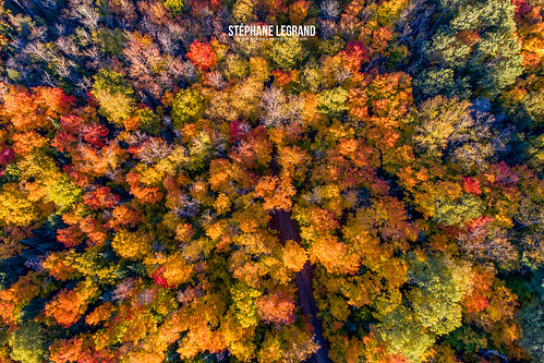 aerial algonquin autumn background beautiful beauty canada color colorful delaware fall foliage forest green jersey landscape mountain mountains national natural nature new ontario orange outdoors overlook park path red river road scene scenery scenic season see tennessee top tree trees trip view yellow