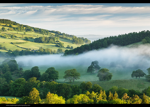 uk morning summer mist misty wales calm breconbeacons valley welsh treesinmist