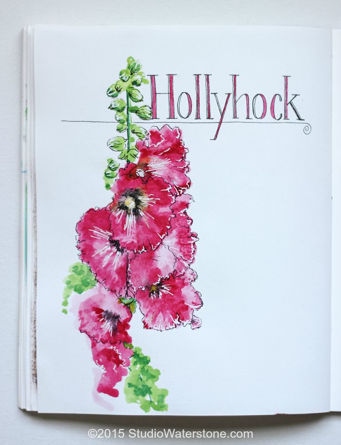 Sketchbook: Hollyhock