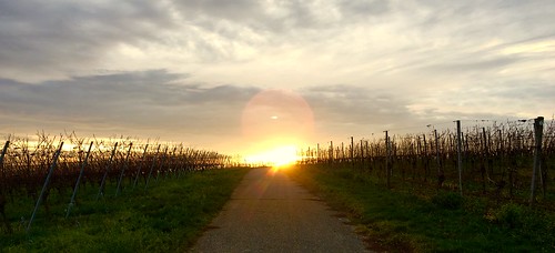 sunset sonnenuntergang freiburg iphone 6s rlfotografie 6splus