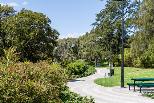 The path beside Parramatta River in Parramatta CBD River Foreshore Park