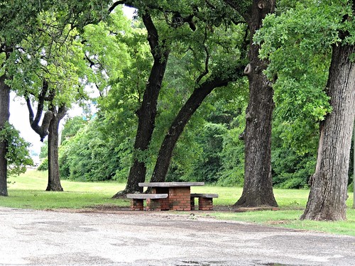 bench picnicbenchtable roadsidepark picnicarea texas usa ccc oaktrees wallertx reststoparea shady