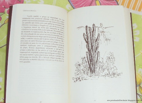 Resenha, livro, Uma aventura no tempo, Christiane de Murville, trilogia, A Caverna Cristalina