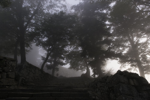 castle fog clouds forest takahashi 城 okayama matsuyama 岡山 霧 高梁市 備中松山城 bitchū