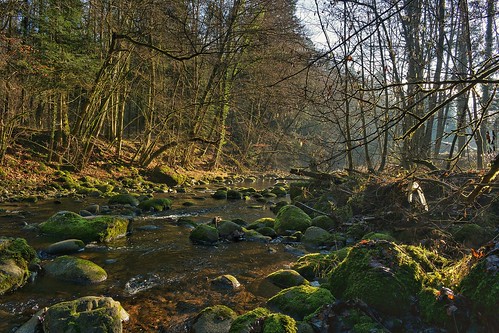 river germany landscape deutschland fluss landschaft schwarzwald südbaden schlücht