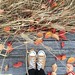 I think @vi_klymenko is right, this sneakers is totally autumn mood! #fromwhereistand #sneakers #converse #autumn #leaves #fall @converse