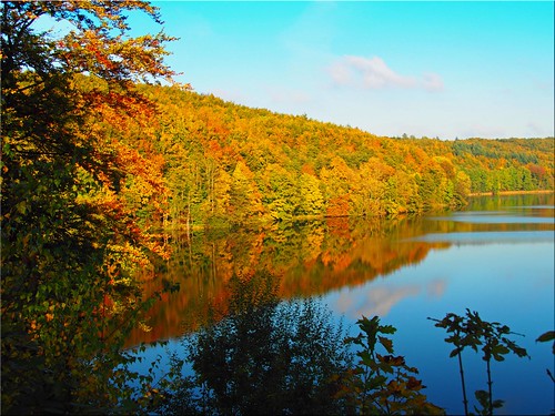 autumn trees water reflections geotagged deutschland wasser herbst bäume deu schleswigholstein spiegelungen sielbeck ukleisee geo:lat=5418282320 geo:lon=1062890541