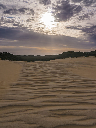 sand dunes australia victoria aus tamboon croajingalong tamboonsouth
