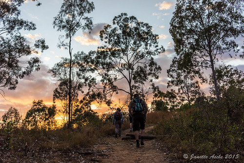 trees mountain clouds sunrise track australia trail bushwalking qld queensland eucalyptus bushwalk eucalypts 2015 bushwalkers seqld flinderspeak flindersgoolmanconservationestate sonya7r