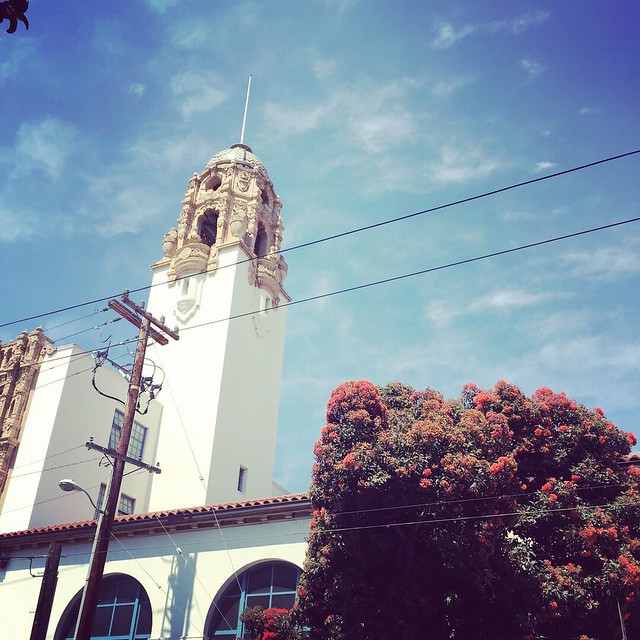 Don't forget to look up. #sanfrancisco #taralovesadventure