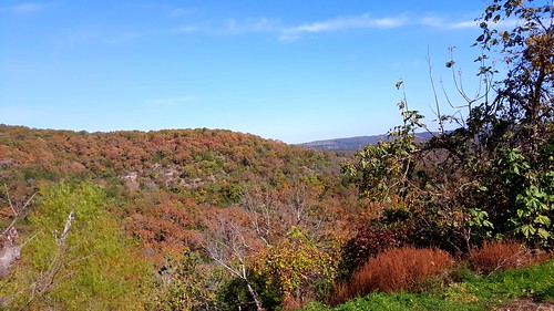 ozarks fall autumn woods scenery landscape missouri nofilters noediting samsunggalaxys6 sunny clear sunnyday clearsky bluesky fallcolors autumncolors southwestmissouri branson trees outdoor clearday salemplateau