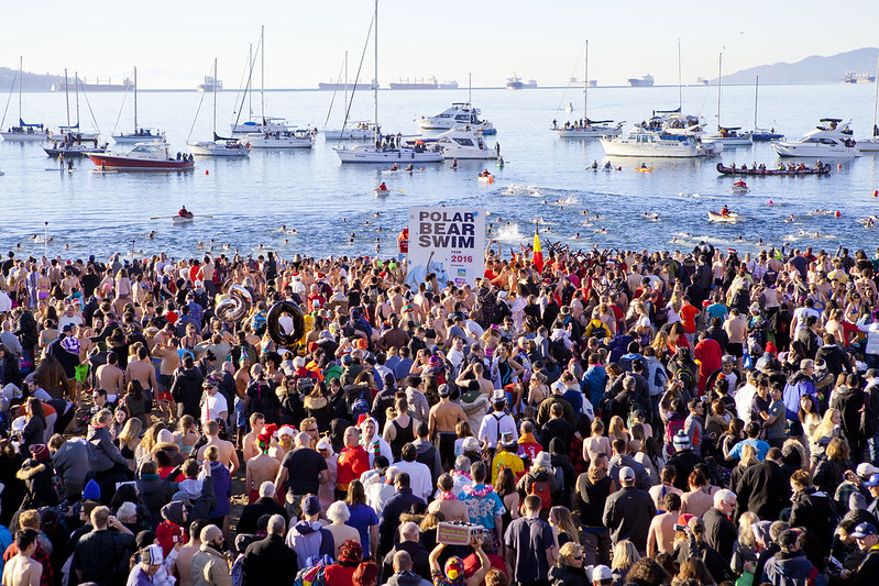 Polar Bear Swim 2016