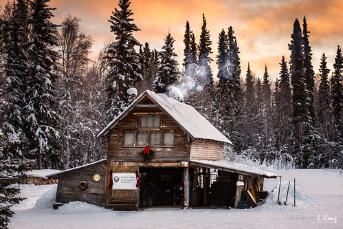 travel trees winter usa snow alaska forest sunrise us cabin woods unitedstates fairbanks