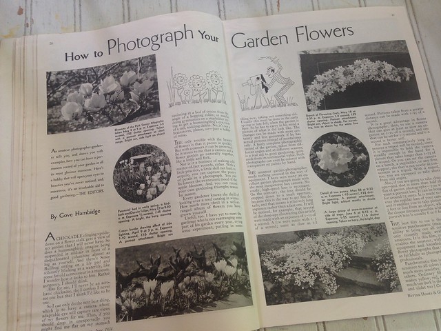Magazine Monday // Better Homes and Gardens, June '34