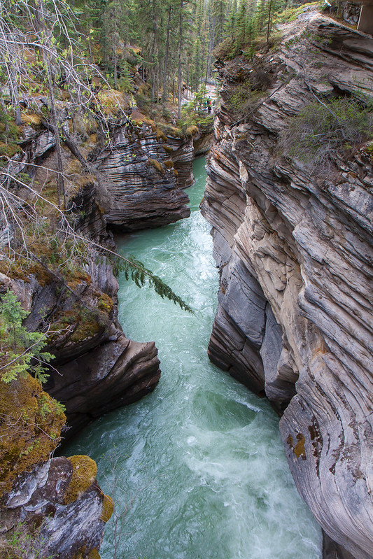Banff National Park. Athabasca Falls