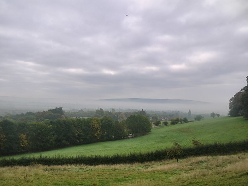 Misty in Worcestershire