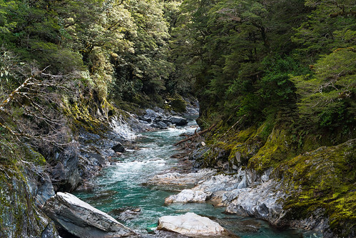 newzealand sunlight river bush rocks shade nz southisland mtaspiringnationalpark bluepools beechforest haastrd makarorarivertributary