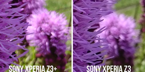 Sony Xperia Z3+ i Z3 - porównanie