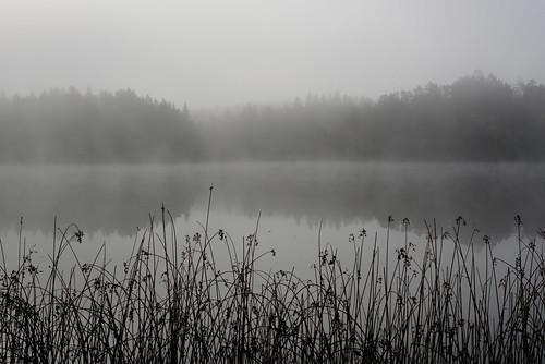 autumn mist lake water fog se nikon outdoor sverige fjällnora uppsalalän nikond750 afsnikkor241204gvr