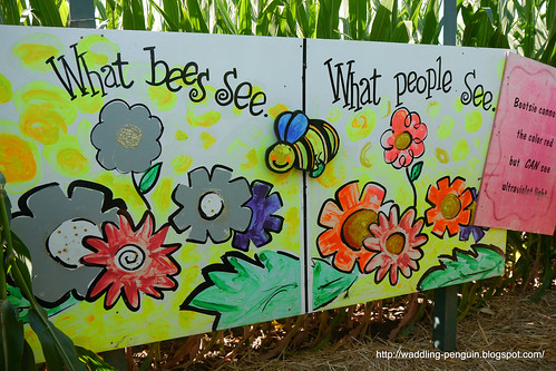 Bee Facts 8