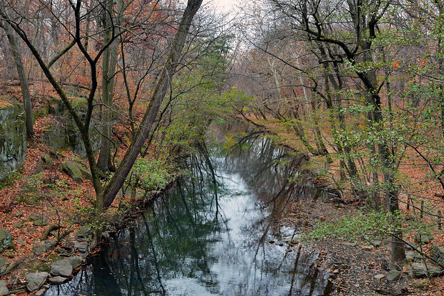 The Bronx River: Cloudy Day