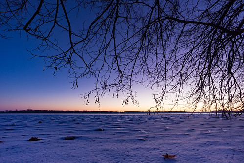 park winter lake snow tree ice wisconsin sunrise landscape farm madison project365 waubesa