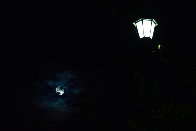 月と電灯