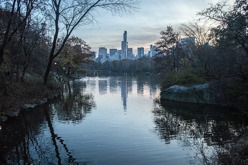 Blue Hour in Central Park