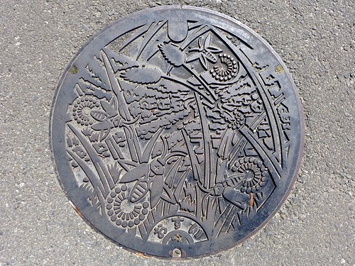 Hiromi Ehime, manhole cover 3 （愛媛県広見町のマンホール３）