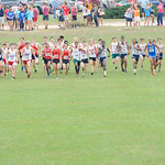 SC XC State Finals 11-7-201500341