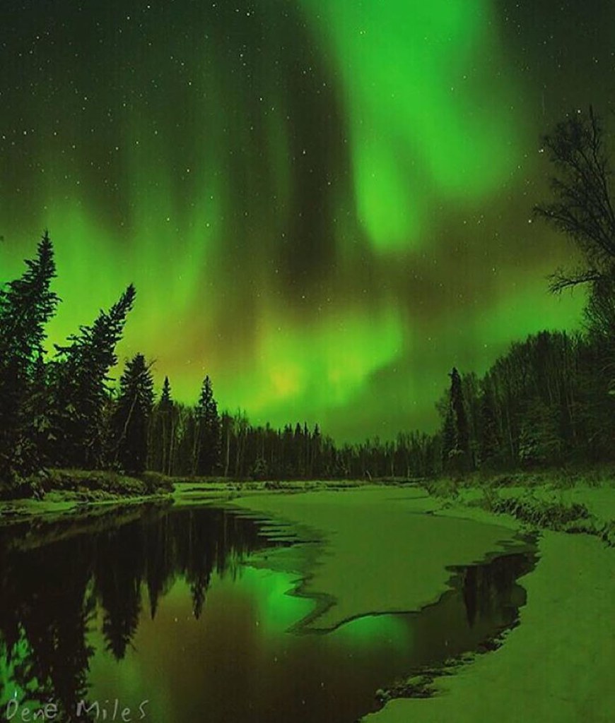 Northern lights in Fairbanks - Alaska ✨💚💚💚✨ Picture by ✨✨@DeneMiles✨✨ Have a wonderful night all 😊😊😊 by wonderful_places