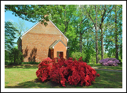 virginia toano hickoryneckchurch church azalea spring geotagged