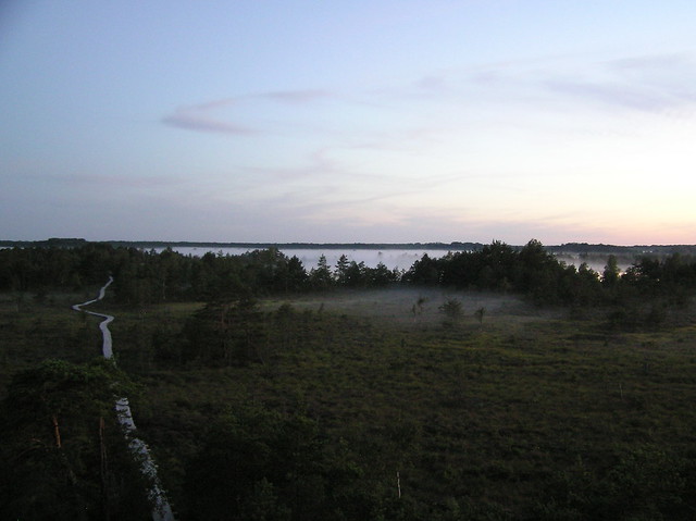 Koigi Bog, Saaremaa