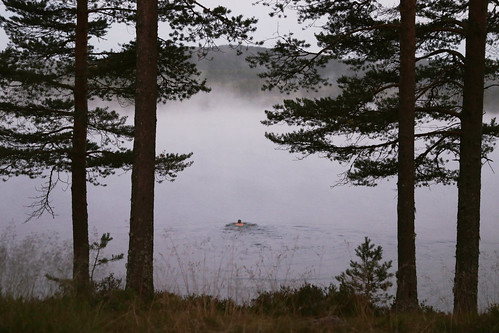 travel trees lake nature norway swim landscape person kolsjø canoneos6def25105 pråmvika