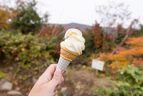 food mountain japan sweets 日本 miyagi 2015 ソフトクリーム 登山 宮城県 栗原市 東北地方 栗駒山 nikond610