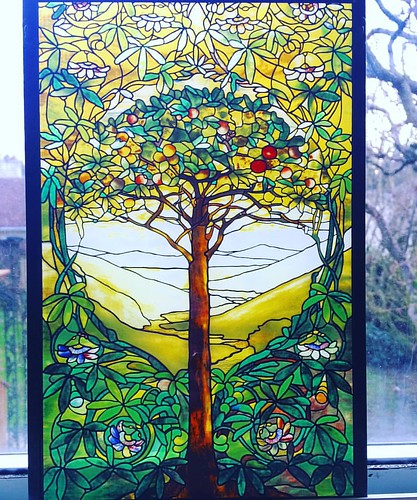 Joshy bought me my very own Tiffany glass--the Tree of Life. 💚