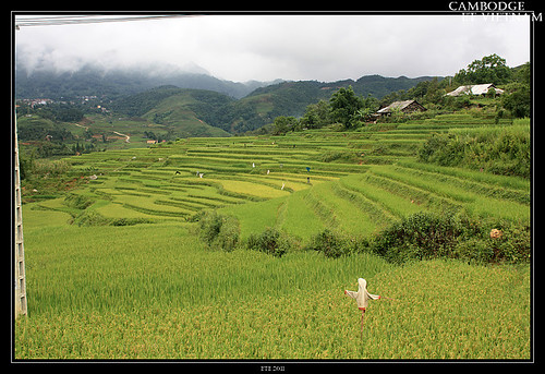 Jour 20 : 21 août 2011 : Sapa - Montagnes Nord Vietnam