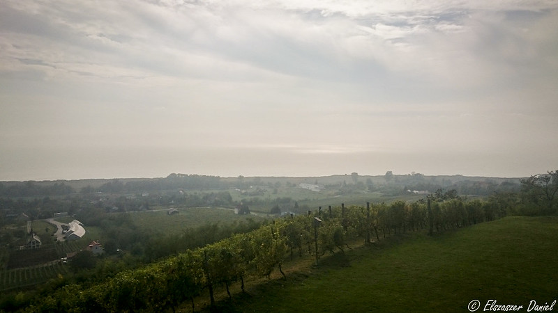 Panorama from the winery