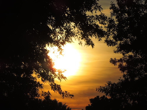 sunset ohio summer sky silhouette yellow contrast outdoors nikon outdoor vivid serene canalfulton nikonphotography