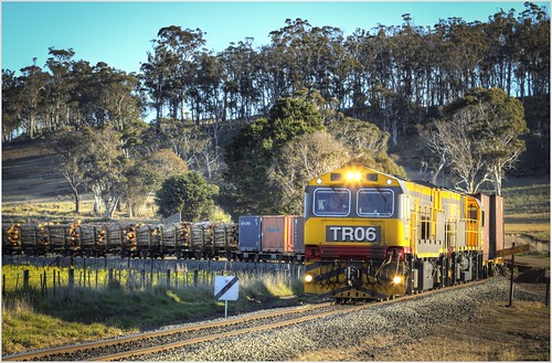 train australia scene andover scenary tasmania locomotive nala 34 midlands freighttrain goodstrain diesellocomotive no34 logtrain canoneos550d trainsintasmania tasmaniancountryside stevebromley ef35350f3556lusm