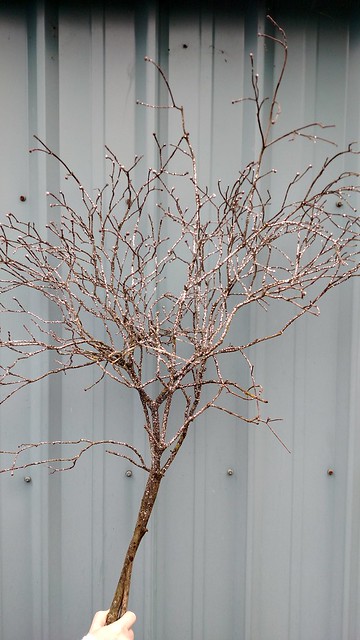 glittered branches