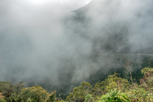 mist fog bolivia yungas