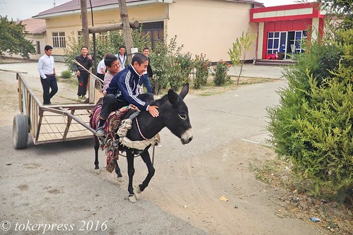 ctokerpress2016 alexandertoker nataliatoker reise tiere tokerpress uzbekistan