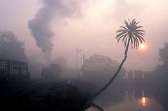 Murky morning in Katwa, West Bengal,  India