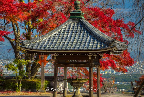 autumn japan kyoto buddhism 京都 日本 gensan shakadō 釈迦堂 吉峰寺 keishôin tagsyoshiminedera