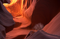Antelope Canyon: <br>Barevná skalní zahrada v arizonské pustině